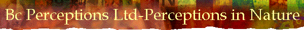 Bc Perceptions Ltd-Perceptions in Nature
