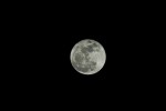 SuperMoon From Backyard