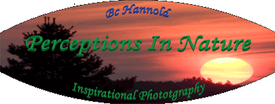 Perceptions In Nature Bc Perceptions Limited